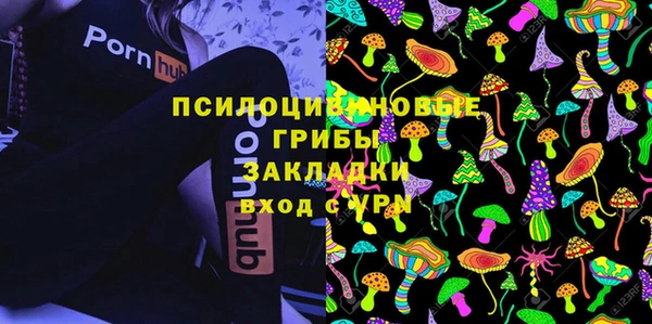 круглые Белокуриха