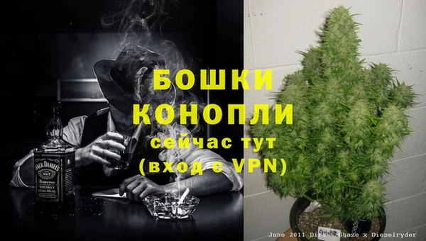 круглые Белокуриха
