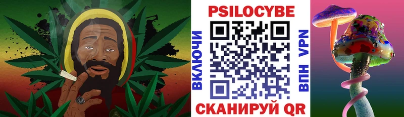 Псилоцибиновые грибы Cubensis  Высоцк 